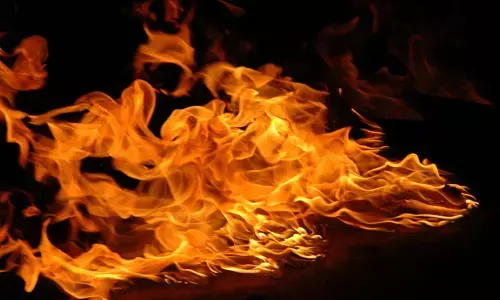పశుగ్రాసాన్ని తగలబెట్టిన దుండగులు