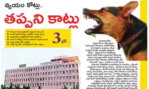 వ్యయం కోట్లు.. అయినా తప్పని కుక్క కాట్లు