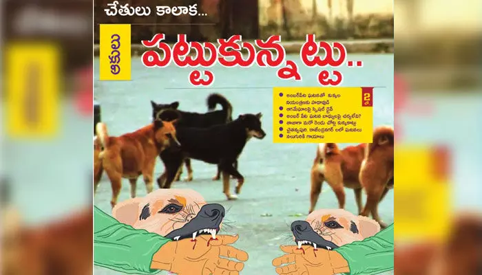 చేతులు కాలాక.. ఆకులు పట్టుకున్నట్టు ఆగమేఘాలపై స్పెషల్ డ్రైవ్ చేతులు కాలాక.. ఆకులు పట్టుకున్నట్టు ఆగమేఘాలపై స్పెషల్ డ్రైవ్