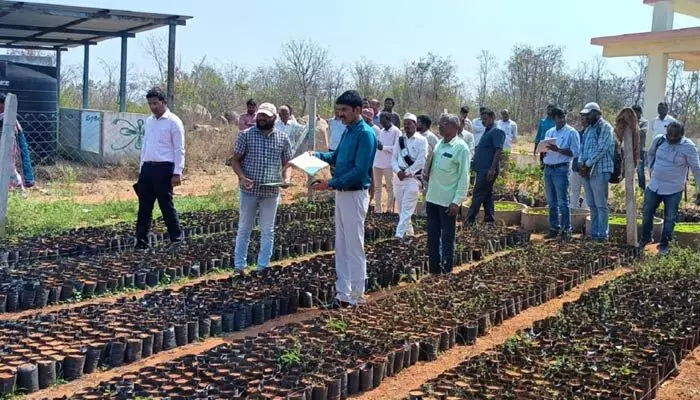 పంచాయతీ కార్యదర్శి సస్పెండ్, ముగ్గురికి ఫెనాల్టీ.. పంచాయతీ కార్యదర్శి సస్పెండ్, ముగ్గురికి ఫెనాల్టీ..