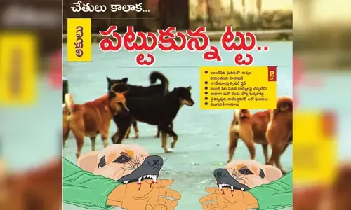 చేతులు కాలాక.. ఆకులు పట్టుకున్నట్టు ఆగమేఘాలపై స్పెషల్ డ్రైవ్