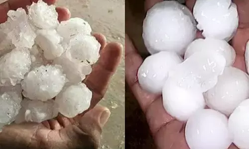 Nature : ప్రకృతికి విరుద్ధంగా జరిగే సంఘటనల్లో ఇది కూడా ఒకటి!