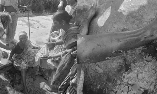 మహిళపై 10 వీధి కుక్కల దాడి.. తీవ్ర గాయాలతో ఆసుపత్రికి