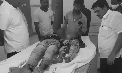 విద్యుత్ షాక్‌తో చిన్నారులైన అన్నాదమ్ములు మృతి