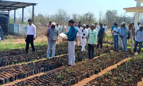 పంచాయతీ కార్యదర్శి సస్పెండ్, ముగ్గురికి ఫెనాల్టీ..