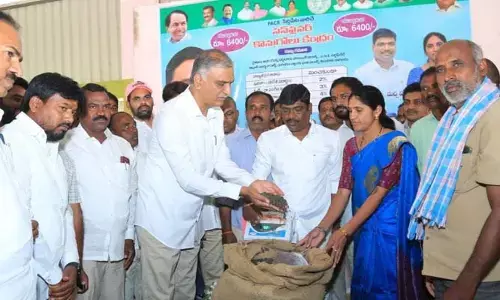 దక్షిణ భారత దేశ ధాన్యగారంగా తెలంగాణ: మంత్రి హరీశ్ రావు