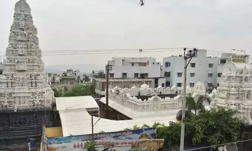Ap News: దేవాదాయ శాఖ సమీక్షలో కీలక నిర్ణయాలు