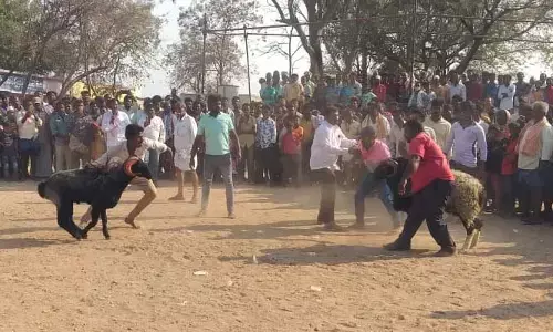 రాజోలిలో ఉత్సాహంగా పొట్టేళ్ల పందెం..