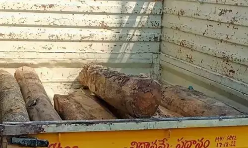 టేకు దుంగల అక్రమ రవాణ.. పట్టించుకోని అధికారులు