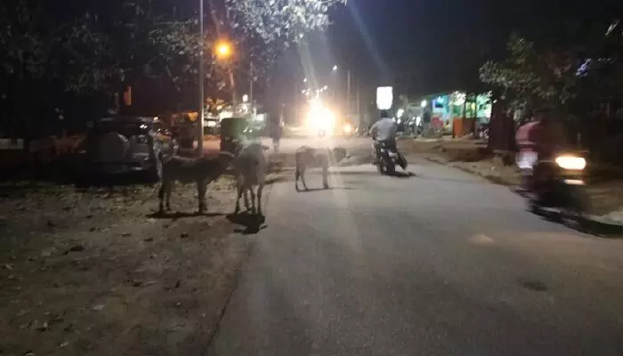 హెచ్చరికలు జారీ.. చర్యలు ఏవి అంటున్న ప్రజలు.. హెచ్చరికలు జారీ.. చర్యలు ఏవి అంటున్న ప్రజలు..
