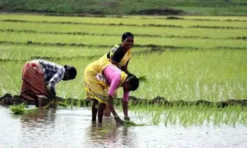 బిగ్ న్యూస్: మిగిలింది మరో ఐదారు నెలలే.. ఆ హామీ నెరవేరేనా..? రైతుల్లో కొత్త టెన్షన్