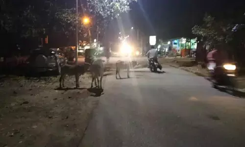 హెచ్చరికలు జారీ.. చర్యలు ఏవి అంటున్న ప్రజలు..