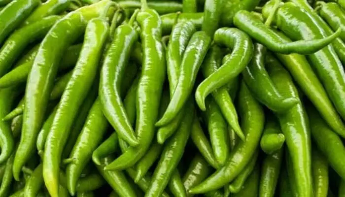 Green Chilli: పచ్చి మిరపకాయల్లో  ఉండే ఆరోగ్య ప్రయోజనాలివే!