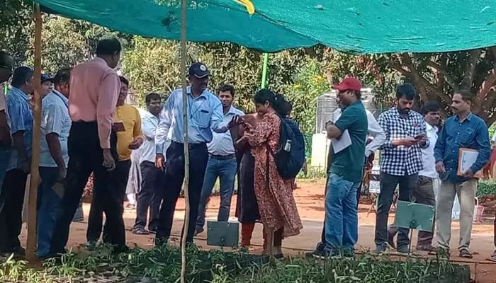 ఆహ్లాదంగా పల్లె ప్రకృతి వనాలు: జాతీయ గ్రామీణ అభివృద్ధి సంస్థ అధికారులు ఆహ్లాదంగా పల్లె ప్రకృతి వనాలు: జాతీయ గ్రామీణ అభివృద్ధి సంస్థ అధికారులు