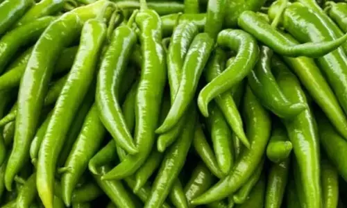 Green Chilli: పచ్చి మిరపకాయల్లో  ఉండే ఆరోగ్య ప్రయోజనాలివే!