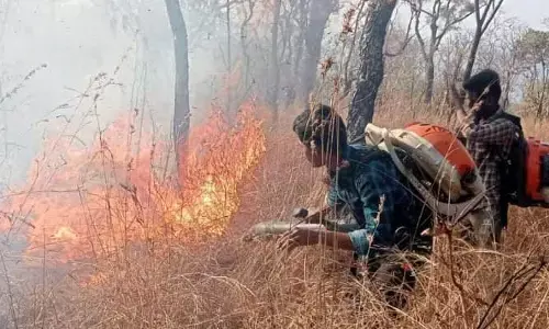 ఏటీఆర్ అడవుల్లో అదుపు కానీ మంటలు... ఎంత ప్రయత్నించినా...