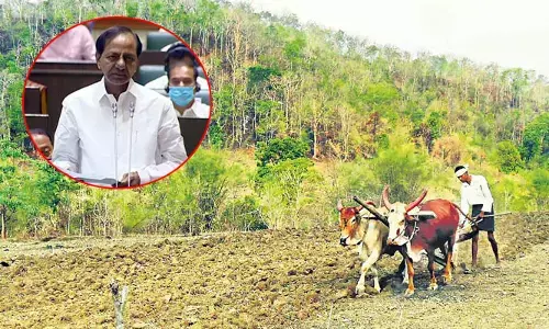 పోడూ.. పాయె! అమలు కానీ సీఎం కేసీఆర్ హామీ