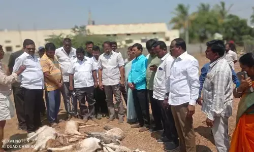 మేకల మందపై హైనా దాడి.. బాధితుడికి ఆర్థిక సాయం అందించిన ఎమ్మెల్యే