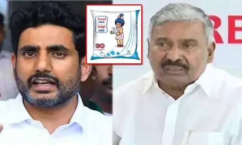 మంత్రి పెద్దిరెడ్డి ఇలాకలో అమూల్‌కు నో ఎంట్రీ.. కారణం చెప్పిన Nara Lokesh