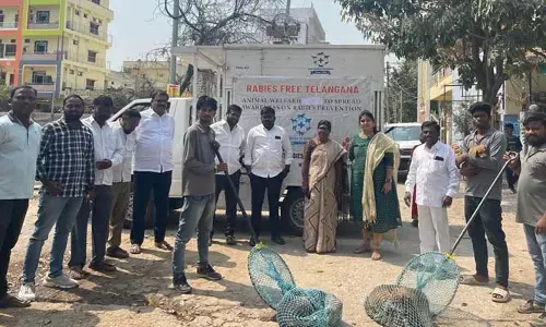 కుక్కల స్వైర విహారం.. బ్లూ క్రాస్‌ ఆధ్వర్యంలో పట్టివేత