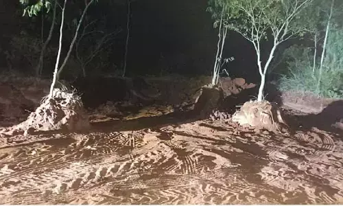 అడవిలోను మొరం తవ్వేస్తున్నారు..