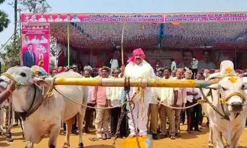 ఎడ్ల పందాల పోటీలు ప్రారంభించిన ఎమ్మెల్యే సండ్ర
