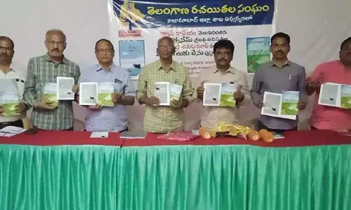 తెలుగు సాహిత్యంలో మేటి కవి రాధేయ..