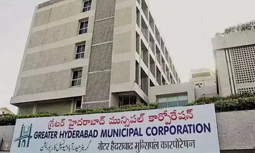 సగం నోటరీలే