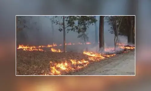 అడవిలో మంటలు.. ఆగమవుతున్న వణ్యప్రాణులు