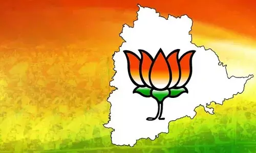 బీజేపీ వ్యూహాల వెనక అమిత్ షా