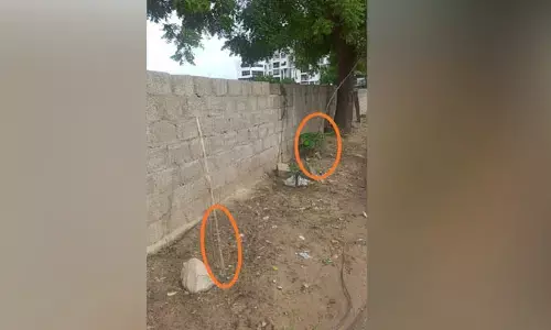 ల‌క్ష్య సాధ‌న‌కు విరుద్ధంగా నీరుగారిపోతున్న హ‌రిత‌హారం...
