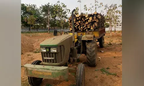కలప అక్రమ రవాణా చేస్తే కఠినచర్యలు..