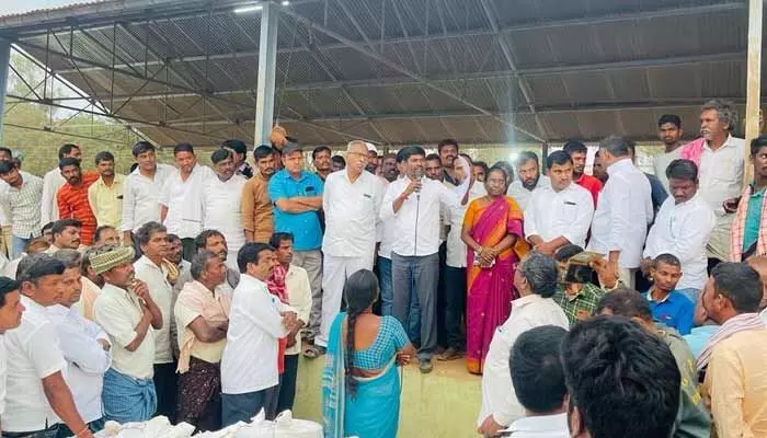 వేరుశనగ దిగుబడి అమోఘం: గువ్వల బాలరాజు వేరుశనగ దిగుబడి అమోఘం: గువ్వల బాలరాజు