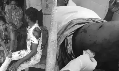 సిర్పూర్(టీ)లో ఎలుగుబంటి దాడి