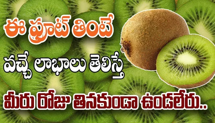 కివి పండు రోజూ తింటే ఎన్ని లాభాలో తెలుసా? కివి పండు రోజూ తింటే ఎన్ని లాభాలో తెలుసా?