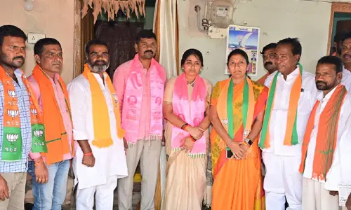 సర్పంచ్ నవ్యకు అండగా ఉంటాం.. బీజేపీ నాయకులు