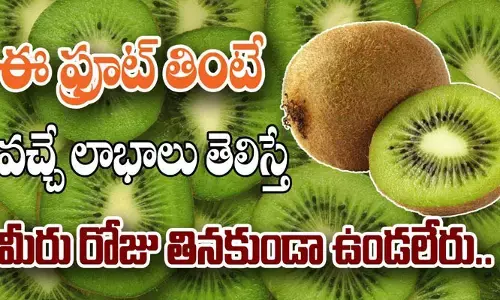 కివి పండు రోజూ తింటే ఎన్ని లాభాలో తెలుసా?
