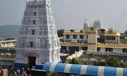 ప్రసాదం కౌంటర్ లో ఎలుకలు.. ఇద్దరు ఉద్యోగుల సస్పెండ్