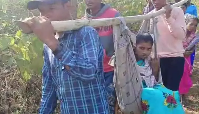 డోలి మోతల్లో ప్రసవ వేదనలు డోలి మోతల్లో ప్రసవ వేదనలు