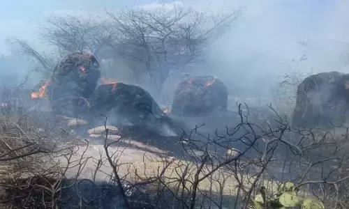 Kurnool: చిప్పగిరిలో ఉన్నట్టుండి మూడు గడ్డి వాముల దగ్ధం