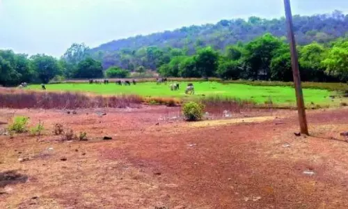 ఇనామ్ భూములు మాయం