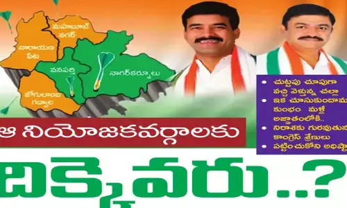 ఆ నియోజకవర్గాలకు... దిక్కెవరు...?