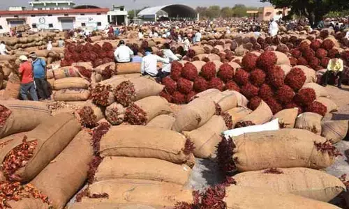 ఏనుమాముల మార్కెట్‌లో హమా‘లీలలు’