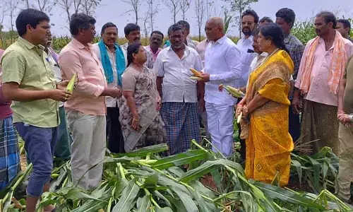 అన్నదాతలు అధైర్య పడొద్దు... అండగా ఉంటాం: ఎమ్మెల్యే రాములు నాయక్