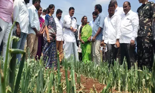 నష్టపోయిన రైతులకు ప్రభుత్వం అండగా ఉంటుంది: మంత్రి నిరంజన్ రెడ్డి
