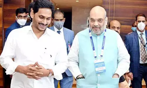 New Delhi: అరగంటకు పైగా అమిత్‌తో మాట్లాడిన సీఎం జగన్