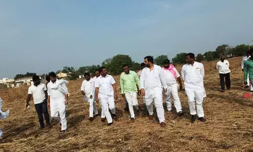 మహారాష్ట్ర స్థానిక సంస్థలే లక్ష్యం.. రెండో సభను అక్కడ నిర్వహించేందుకు బీఆర్ఎస్‌ సన్నాహాలు