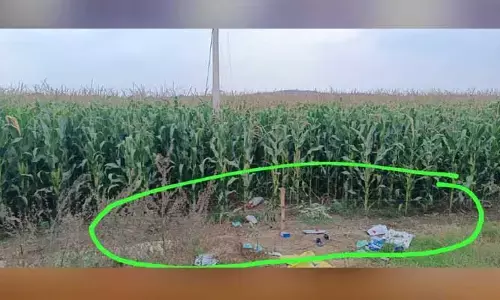 రోజు రోజుకి పెరుగుతున్న విద్యుత్‌ ప్రమాదాలు..