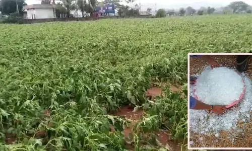 వడగళ్లతో అన్నదాత విలవిల.. చేతికందిన పంట నేలపాలు