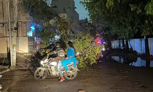 బోయిన్ పల్లిలో భారీ వర్షం.. ఈదురు గాలులకు విరిగిన చెట్లు..